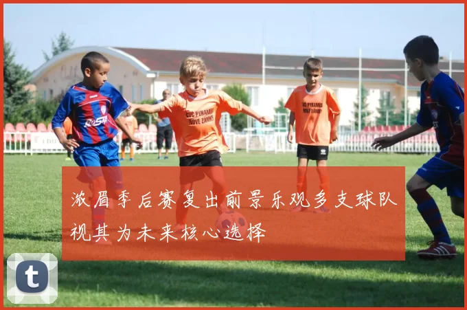 浓眉季后赛复出前景乐观多支球队视其为未来核心选择
